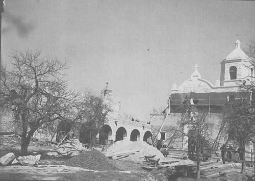 Goliad Anacua - historic